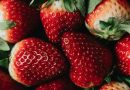 Grøn fingre og sødmefyldte bær: Din guide til at dyrke fantastiske jordbær